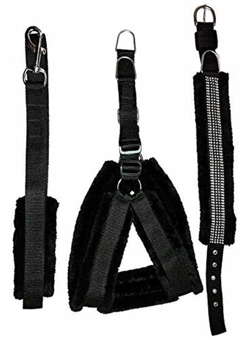 black fur harness set with collar